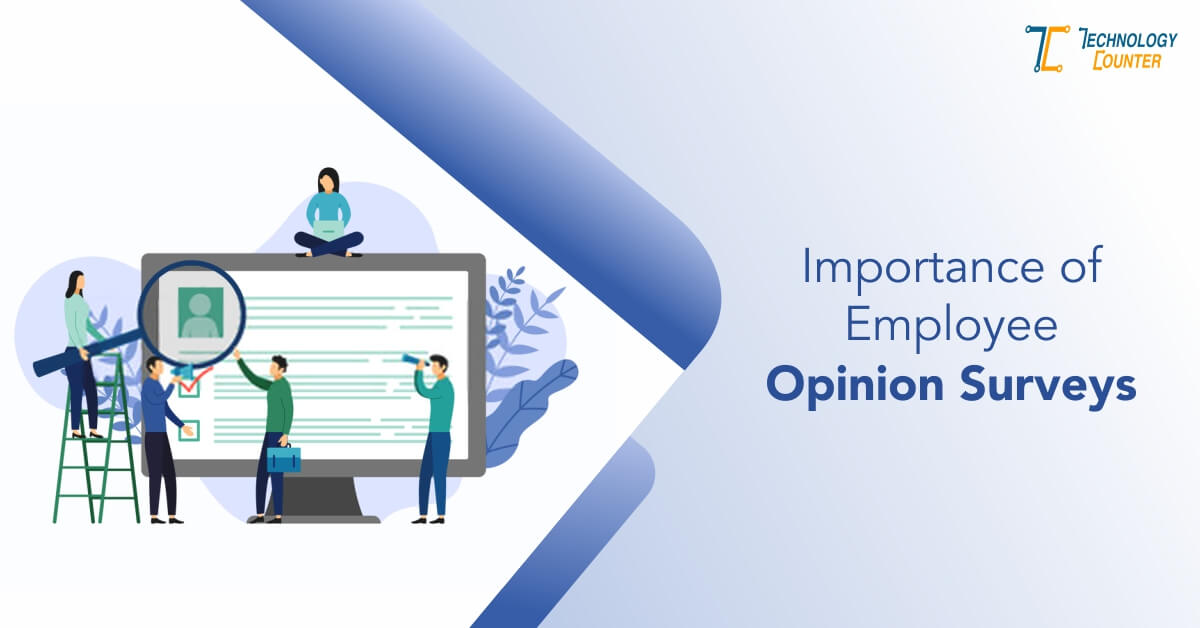 Importance of Employee Opinion Surveys