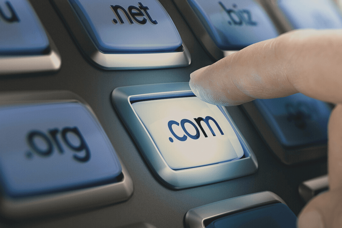 What Types of Domain Names Are There?
