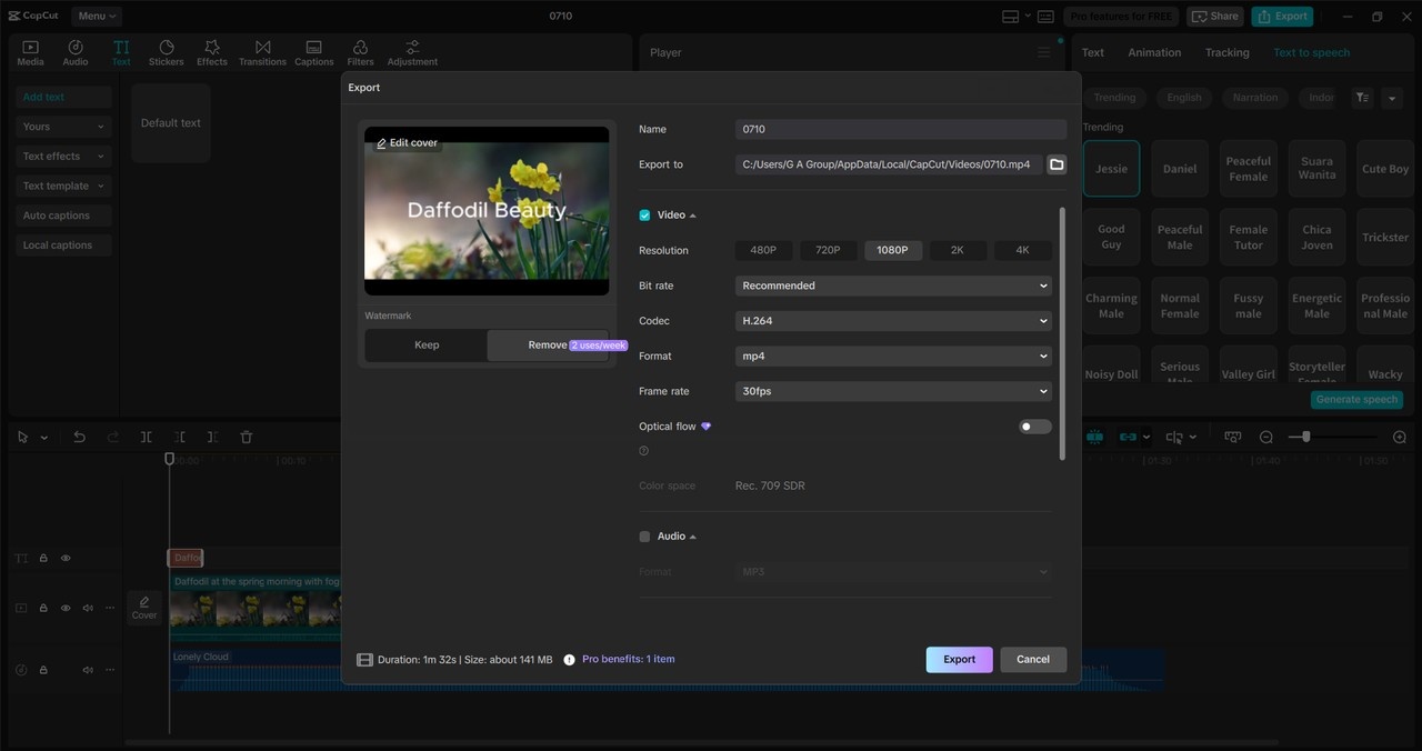 CapCut export screen showing video resolution, codec, and audio format options for final output