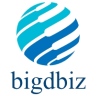 Bigdbiz HRM