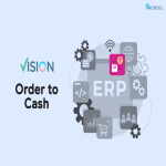 Vision ERP