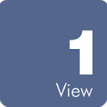 1View