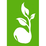Accounting Seed