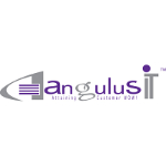 AngulusIT