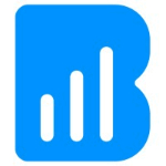 Biz Analyst