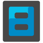 Board Director
