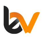 Bytesview