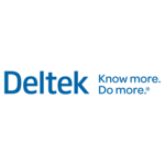 Deltek Vision