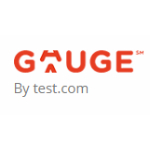 Gauge Online Exam