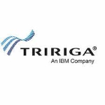 Tririga