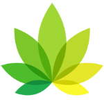IndicaOnline