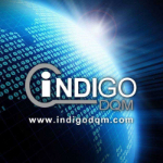Indigo PMT Password
