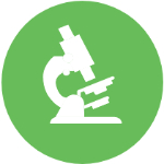 LabSpark