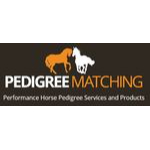 PM Equine