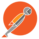 Postman Pro