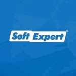 SE Audit