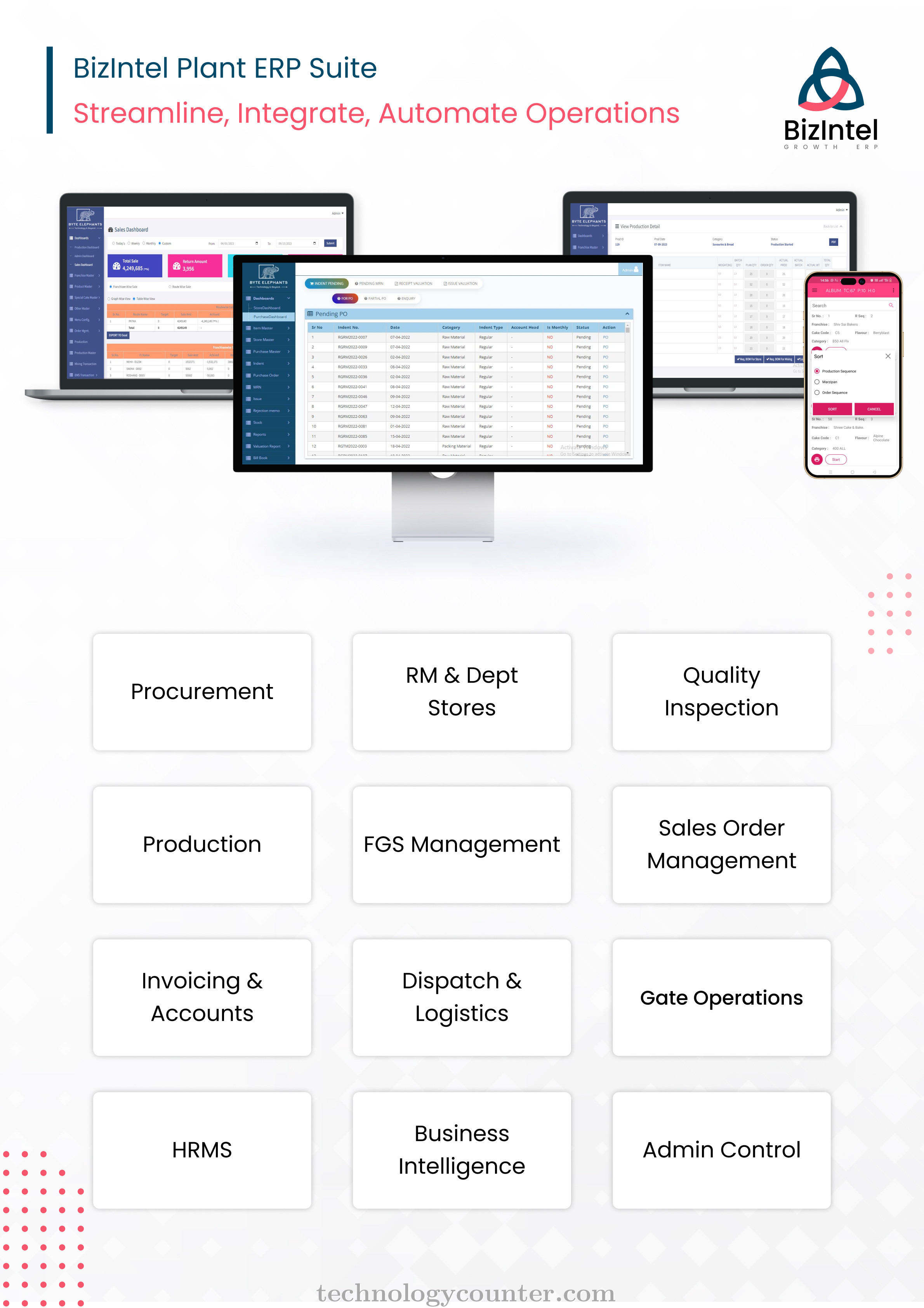 Bizintel Screenshots