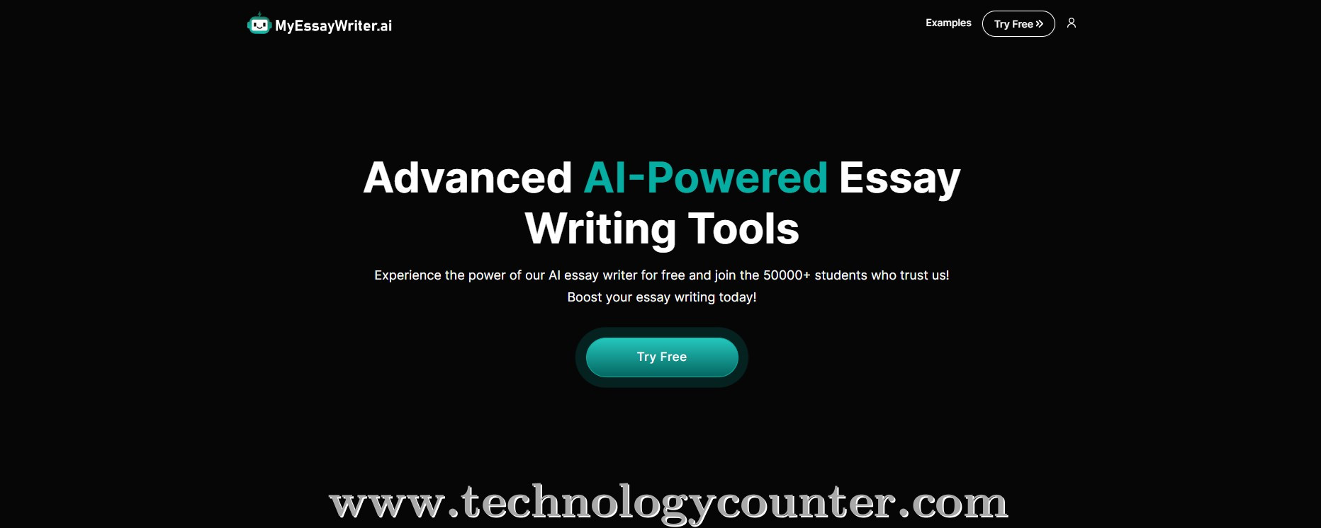 MyEssayWriter ai Screenshots