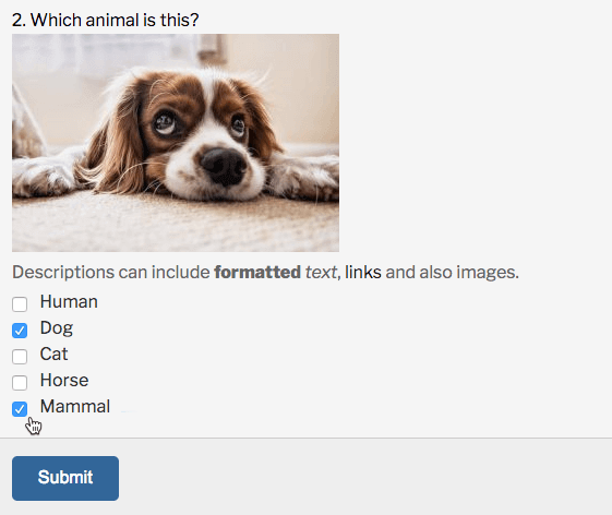 WordPress Quiz Manager Plugin Screenshots