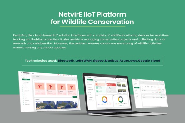 NetvirE Screenshots