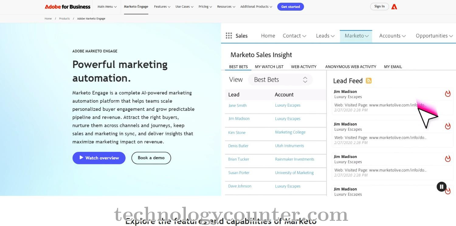 Marketo Screenshots