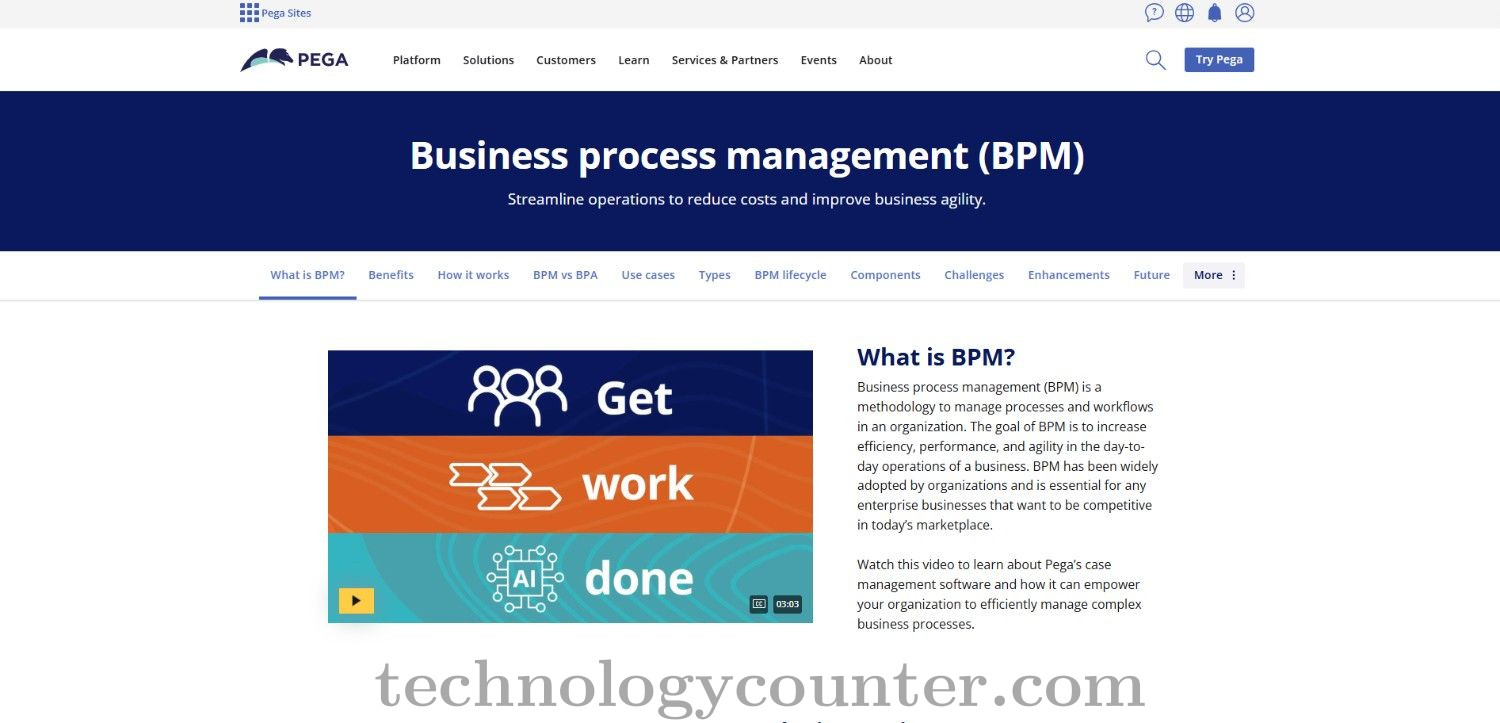 Pega BPM Screenshots