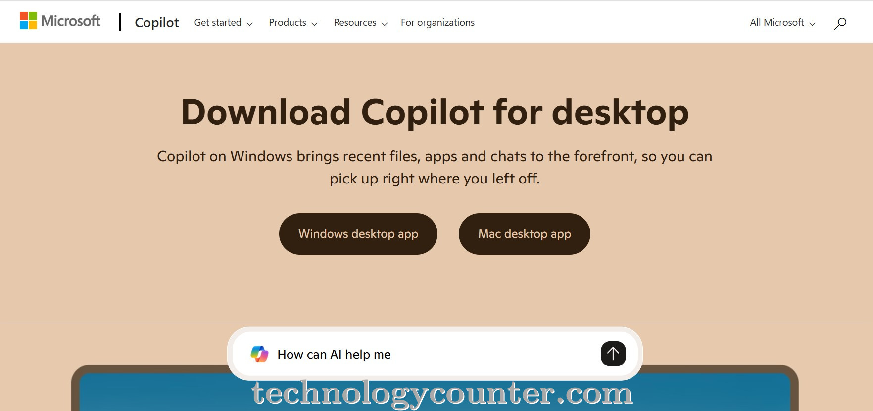 Microsoft Copilot Screenshots