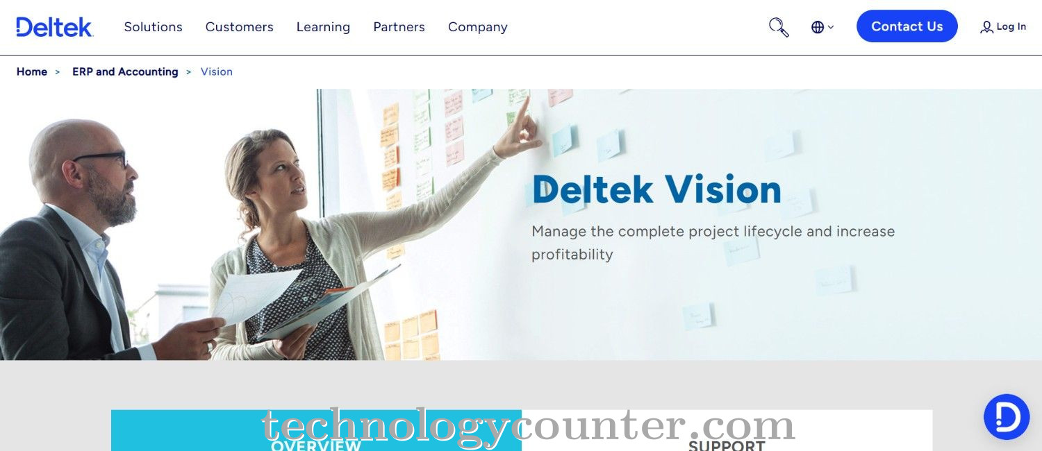Deltek Vision Screenshots