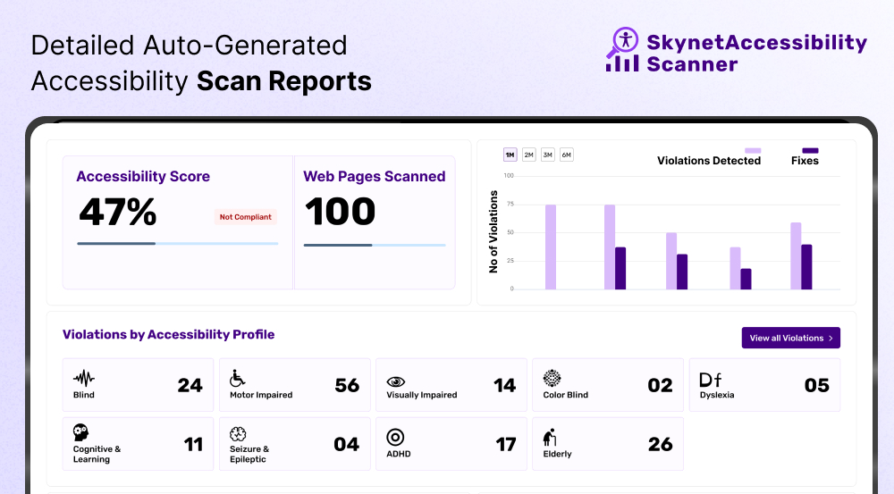 Skynet Accessibility Scanning and Monitoring Screenshots