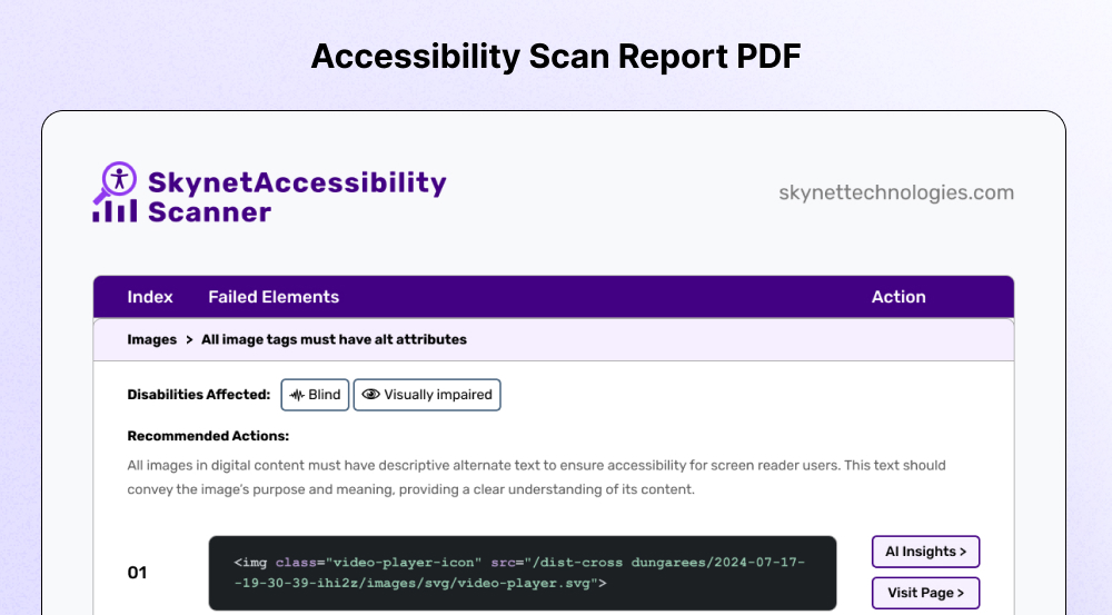 Skynet Accessibility Scanning and Monitoring Screenshots